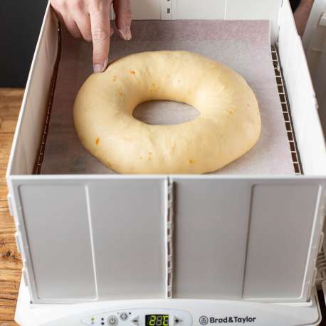 Cámara de fermentación doméstica - Brød & Taylor
